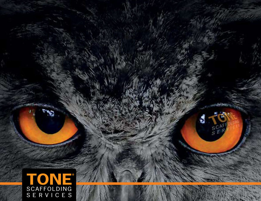 TONE Academy – Scaffolding Apprenticeships